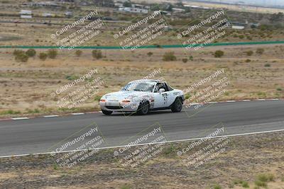 media/May-03-2025-Lucky Dog Racing (Sat) [[206de64b9d]]/Turn 6 (150pm-230pm)/